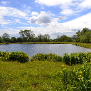 Naturally sourced irrigation water, with 5 million gallons storage capacity