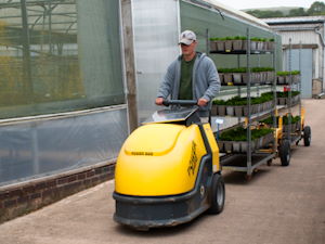 Carl driving the bee